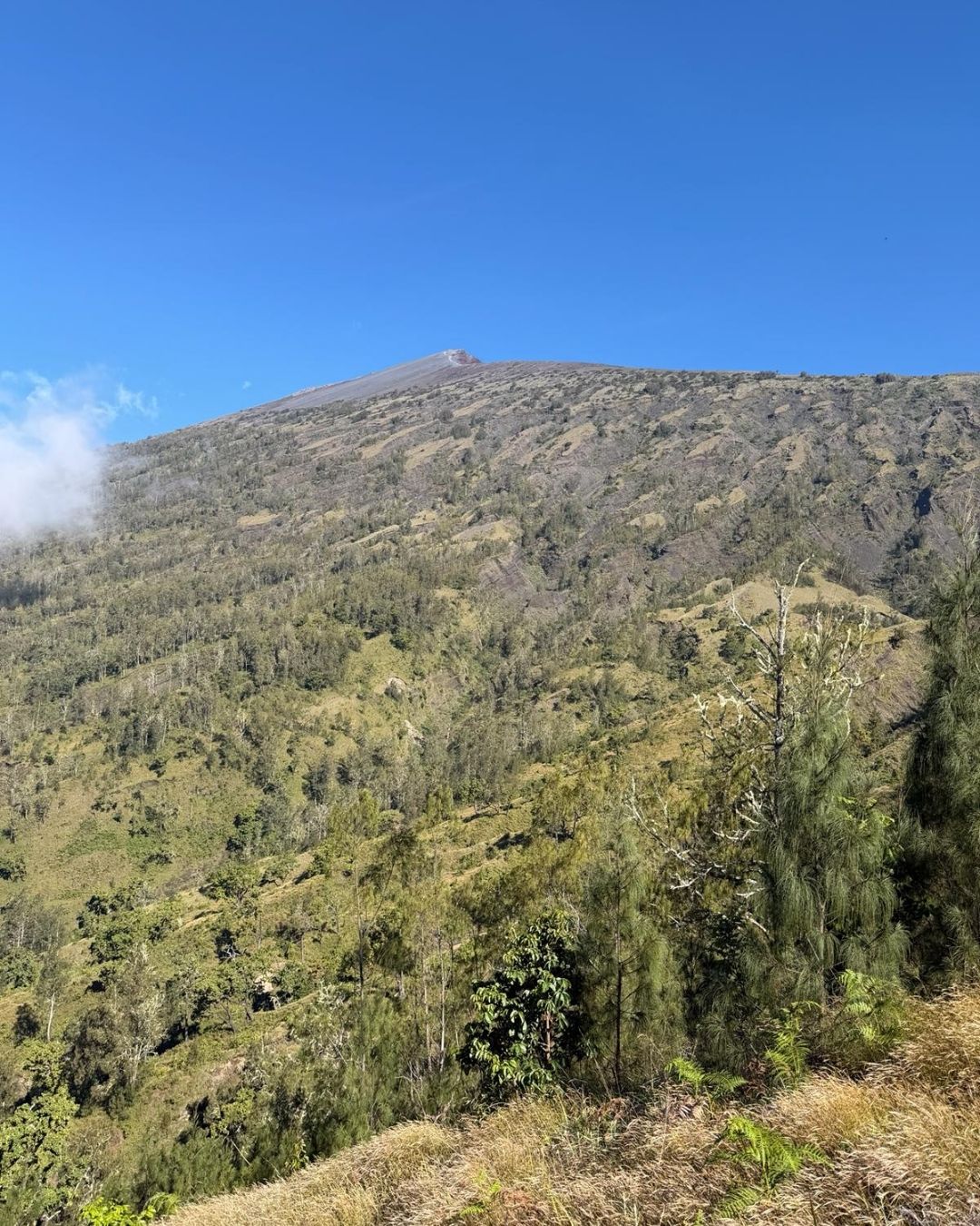 Rinjani Crew Trekking Gallery 4