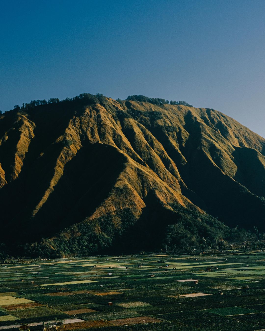 Sembalun Hills